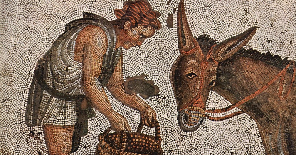 Метаморфози, або Золотий віслюк Апулей - bookworm на we.ua