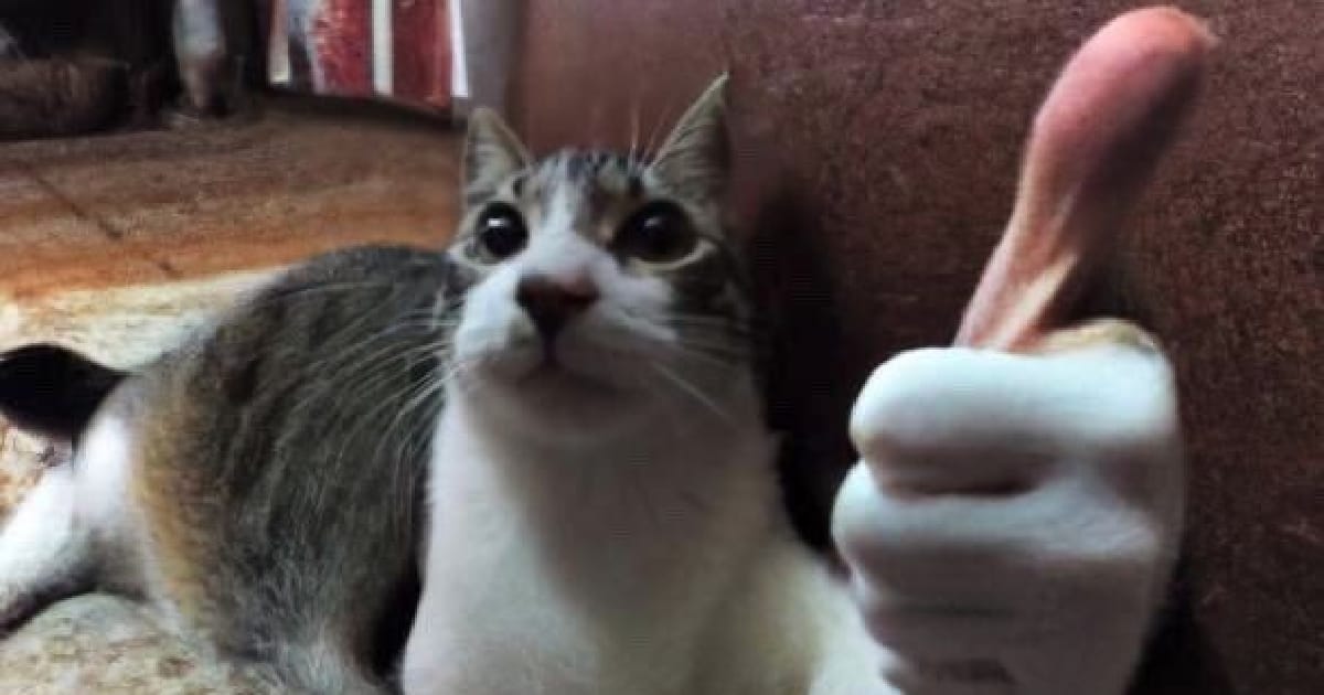 Короткий опис місця проживання - Vladyslav Tyshniuk на we.ua