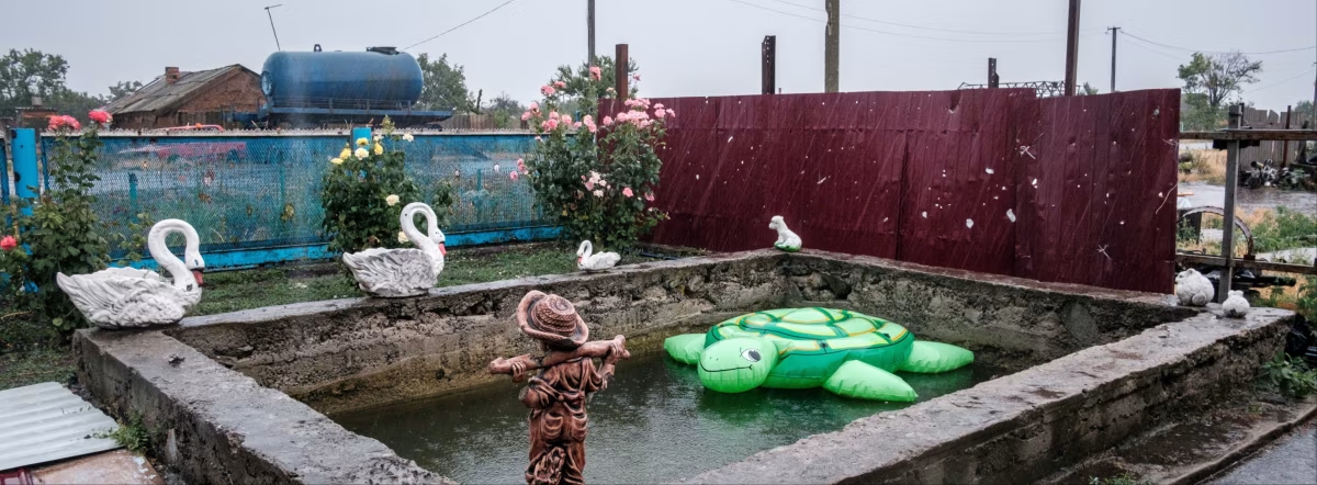 A concrete-lined outdoor pool with an inflatable green turtle in the water and sculptures of swans on the edge of the pool alongside rose bushes. 