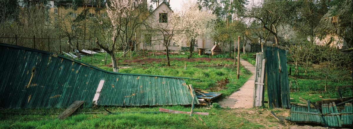 Behind a collapsed green wooden fence lies a path leading to a detached house with a vegetable patch and small orchard of trees in blossom