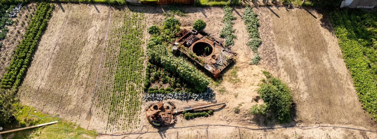 An aerial view of a destroyed tank in a garden. The main body of the tank is at an angle to the tank’s turret a few metres away. In and around the burnt-out tank are neat rows of cabbages, sunflowers and other plants