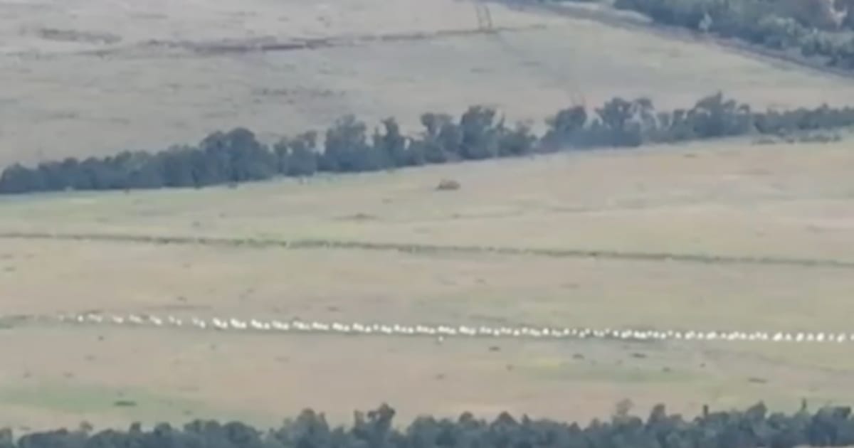 Прорив “лінії суровікіна” в районі Вербового - Cyber Boroshno на we.ua