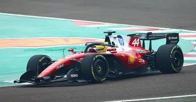 Картинка довгочиту