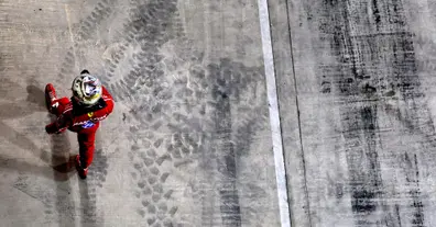 Картинка довгочиту