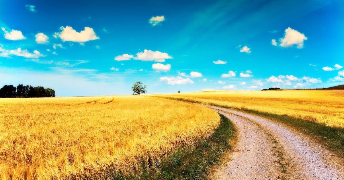 Побачення 2023 - Юлія Землянська на we.ua