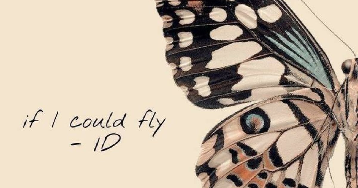 Метелик - Амина Нефельс на we.ua