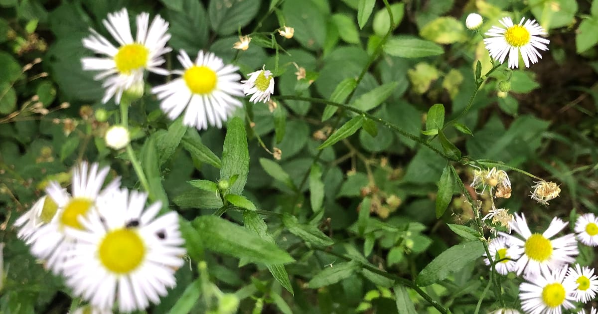 Життя коротке, не проґав свій Шанс - Моє я на we.ua