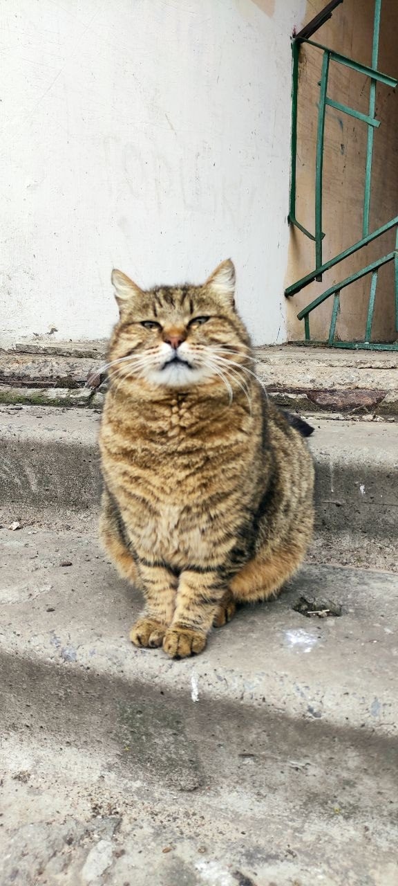 Куда я жмав #1