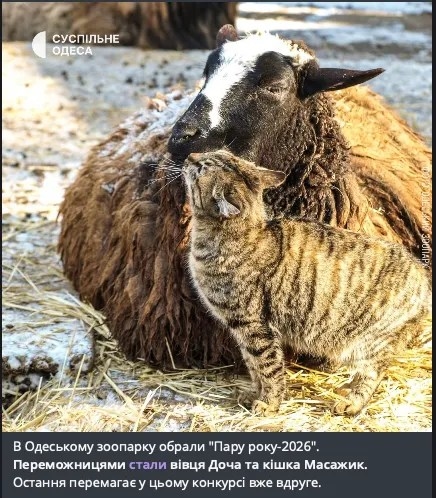 Одеський зоопарк