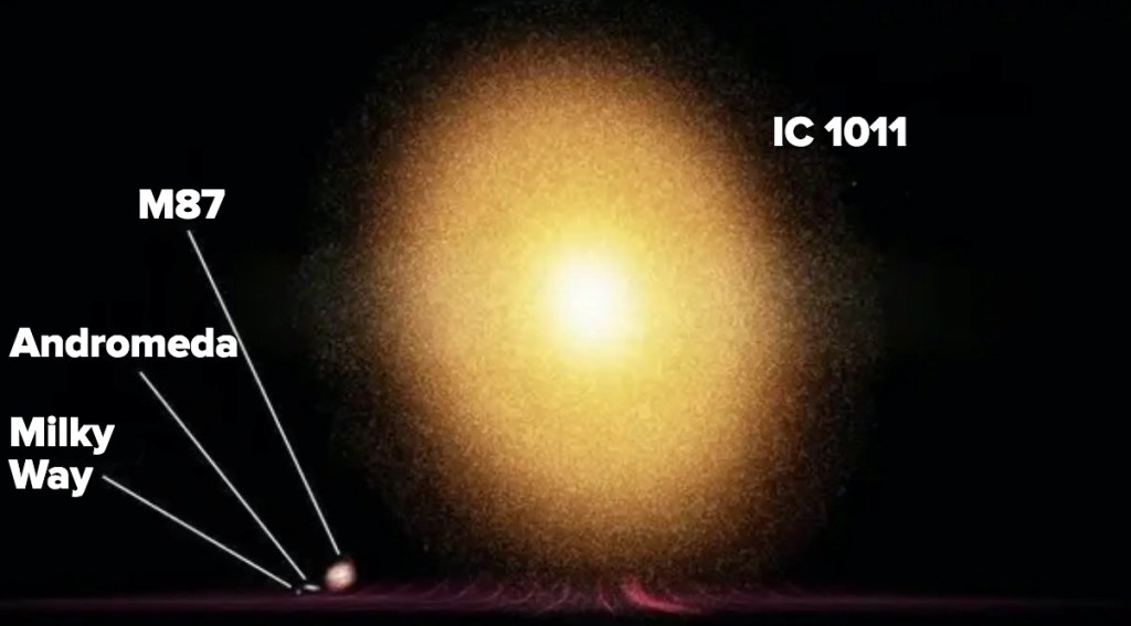 IC 1011