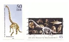 Марка (ліворуч) зі спеціального випуску пошти НДР з нагоди 100-річчя Музею природознавства Берліна у 1990 році, на якій зображено брахіозавра бранкай. На всіх п'яти марках цього випуску зображено скелети динозаврів з розкопок Тендагуру. Лише через 20 років, у 2010 році у возз'єднаній Німеччині, Музей відсвяткував своє 200-річчя спеціальним випуском марок, на якому знову зображено брахіозавра бранкай як центральний експонат музею.