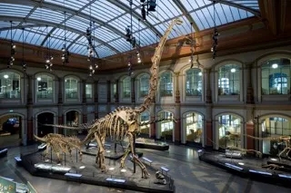 Зал динозаврів Берлінського музею природознавства у 2007 році з центральним експонатом музею – скелетом Brachiosaurus brancai