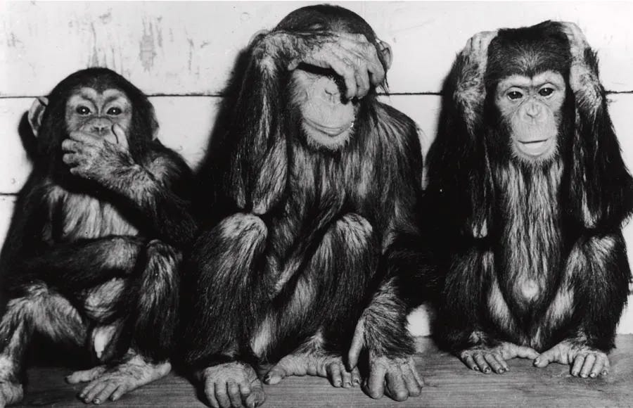 three wise monkeys keystone