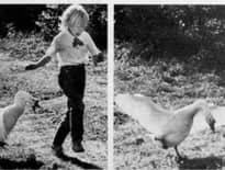 Картинка з посилання