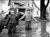 Картинка з посилання