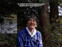 Картинка з посилання