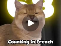 Картинка з посилання