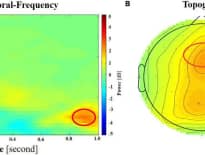 Картинка з посилання