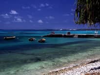 Картинка з посилання