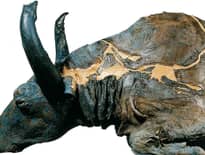 Картинка з посилання