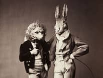 Картинка з посилання