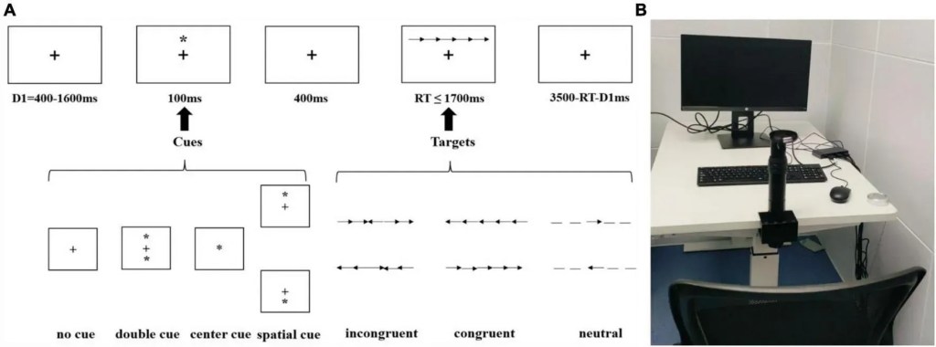 Caption (A) the ANT schematic diagram, and (B) the experimental setting