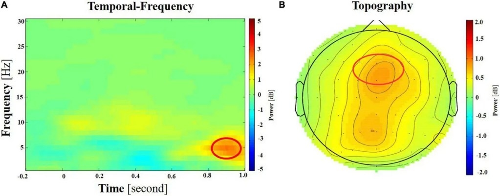 fnhum 18 1383913 g005