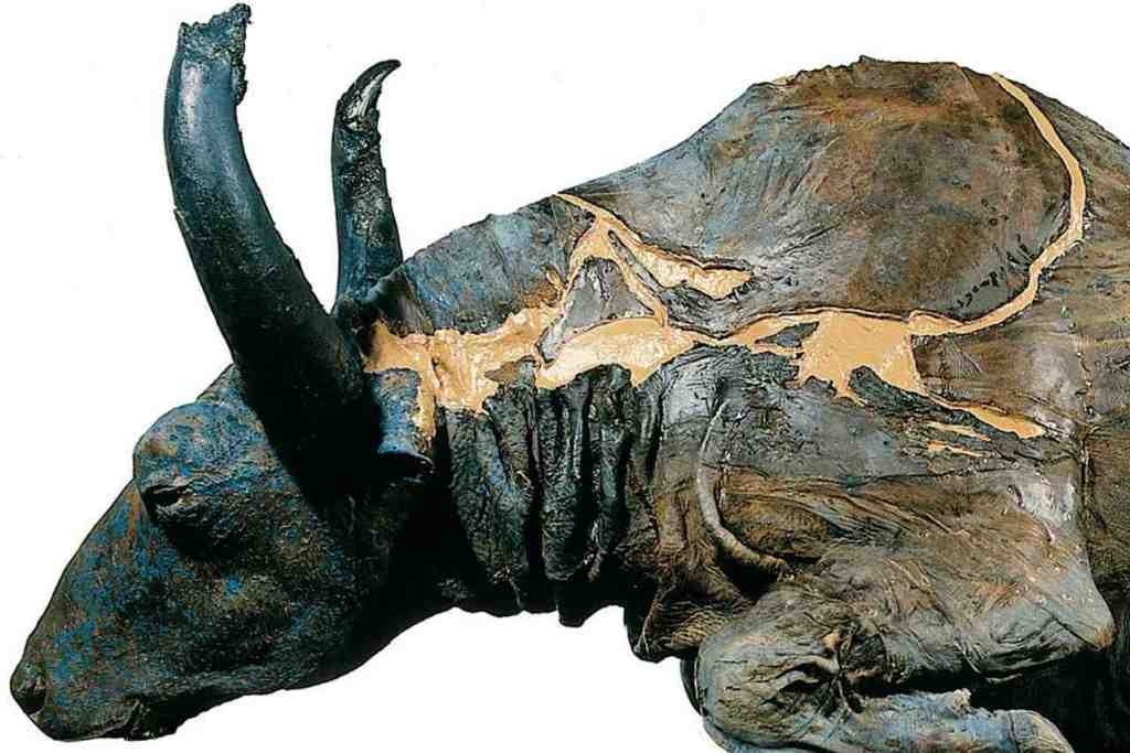 Blue Babe, in all its glory