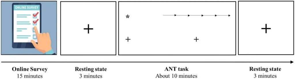 Schematic representation of the experimental protocol