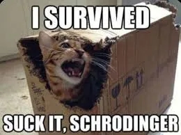 schrodinger cat meme