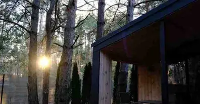 Картинка довгочиту