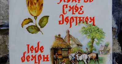 Картинка довгочиту