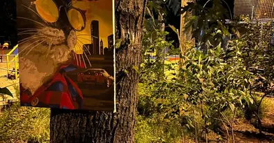 Картинка довгочиту