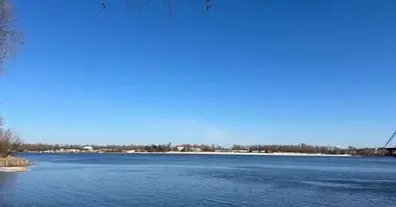 Картинка довгочиту