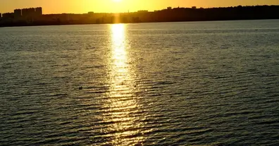 Картинка довгочиту