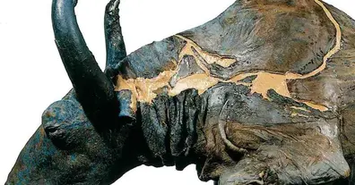 Картинка довгочиту