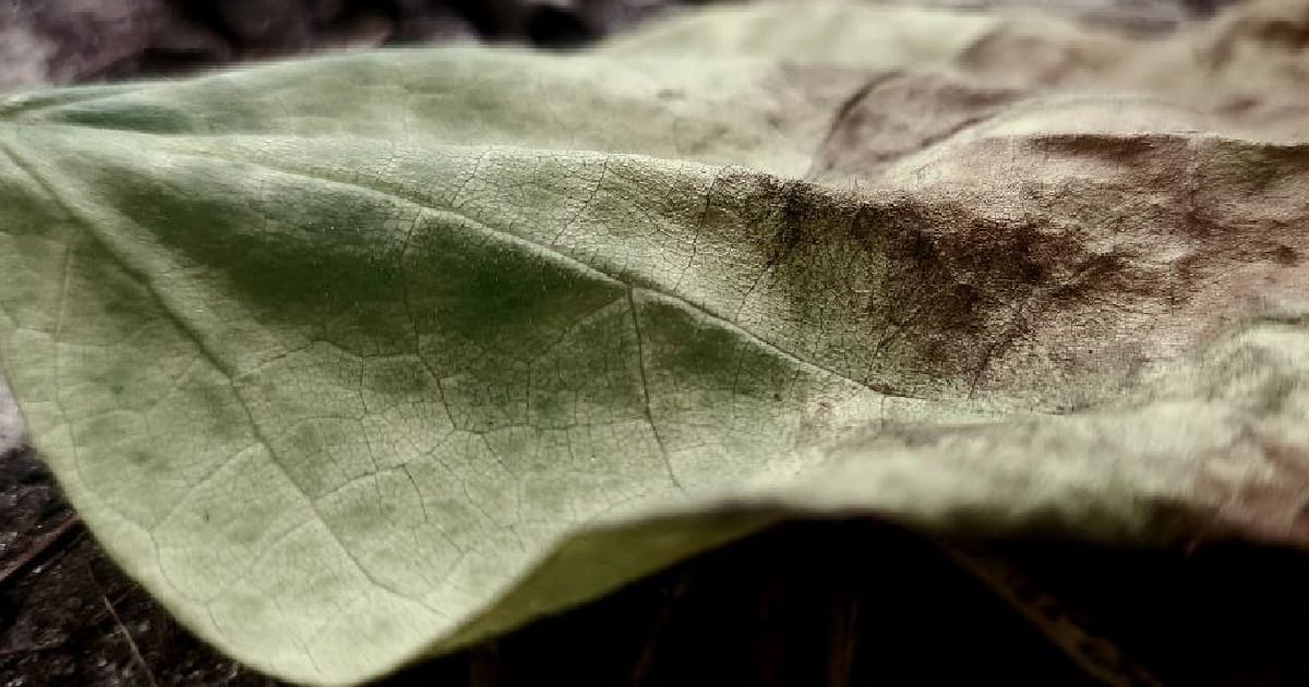 І це не робить тебе гіршим або кращим… - Настя Хом'якова на we.ua