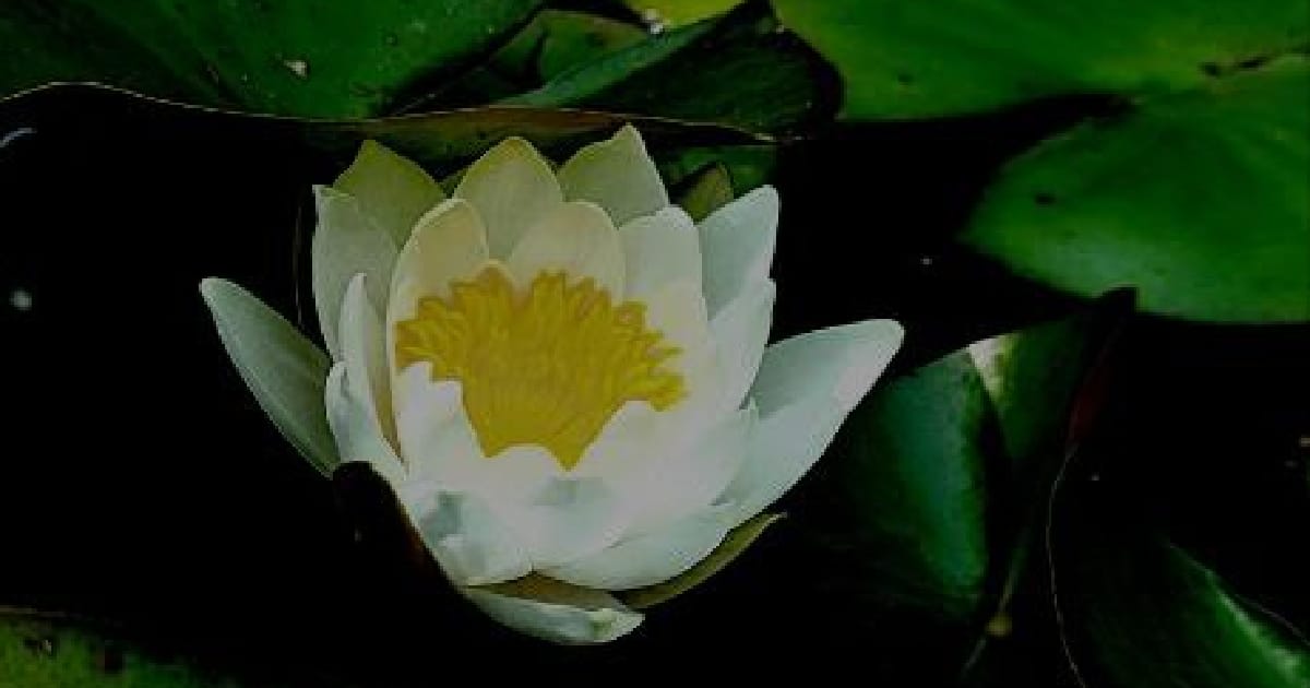 Ми хочемо свободи в стосунках, але не знаємо, що з нею робити - Настя Хом'якова на we.ua