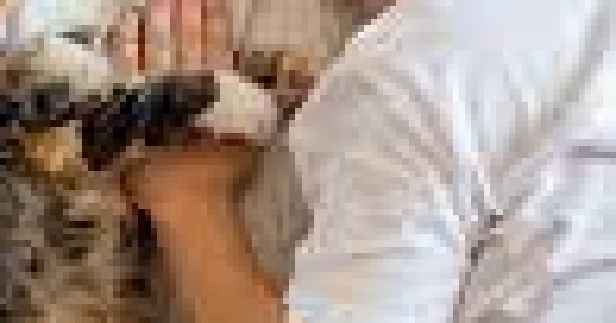 Чому мене навчив кіт або що спільного між котом та дитиною? - Настя Хом'якова на we.ua