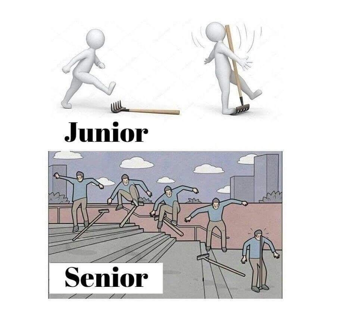 A Difference Between Junior And Senior Developer Programmer – Bored Monday