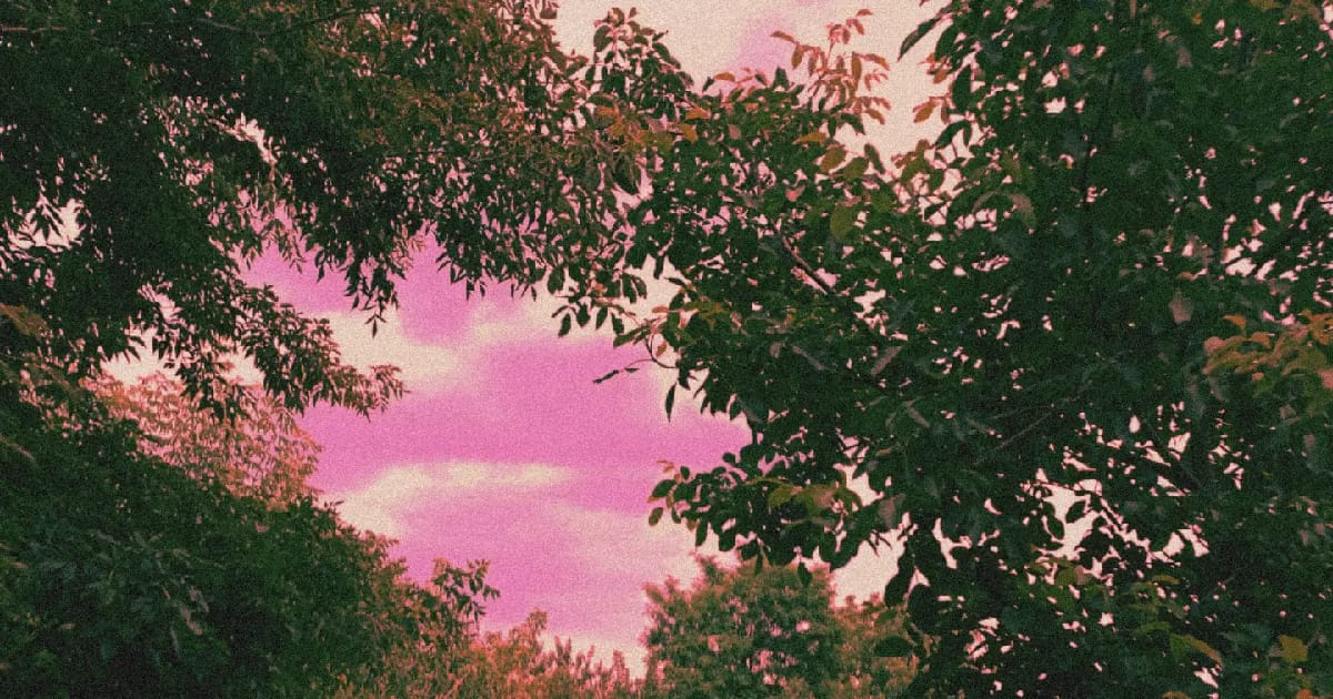 Чуття минулого - Ярема з божевільні на we.ua