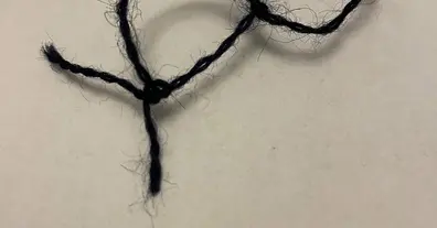 Картинка довгочиту