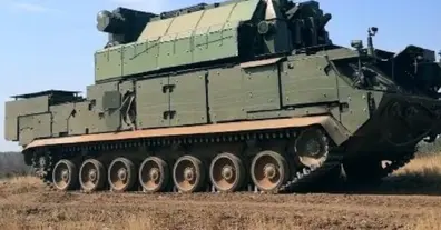 Картинка довгочиту