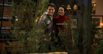 Картинка довгочиту