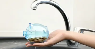 Картинка довгочиту