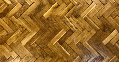 Картинка довгочиту