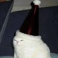 Кіт під ялинкою