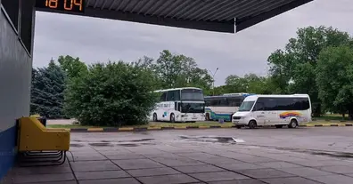 Картинка довгочиту