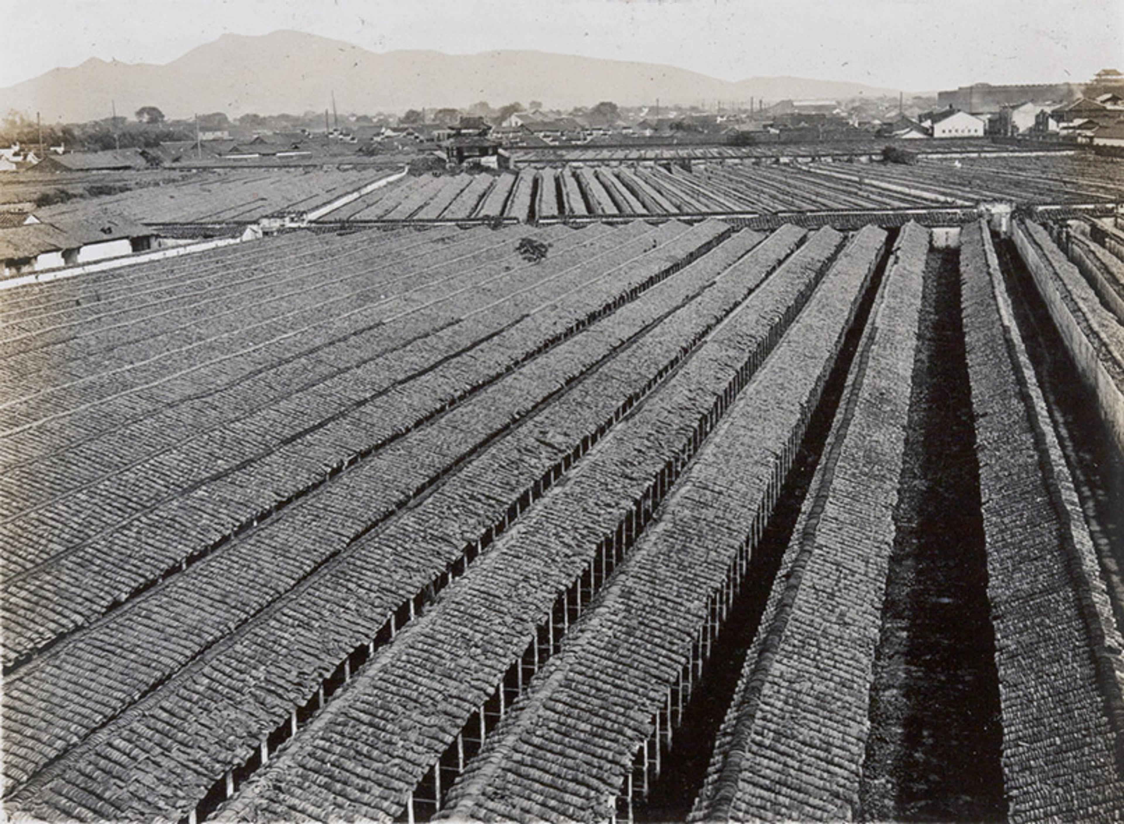 Hundreds of examination cells spread before the eye in this aerial view of an old examination centre