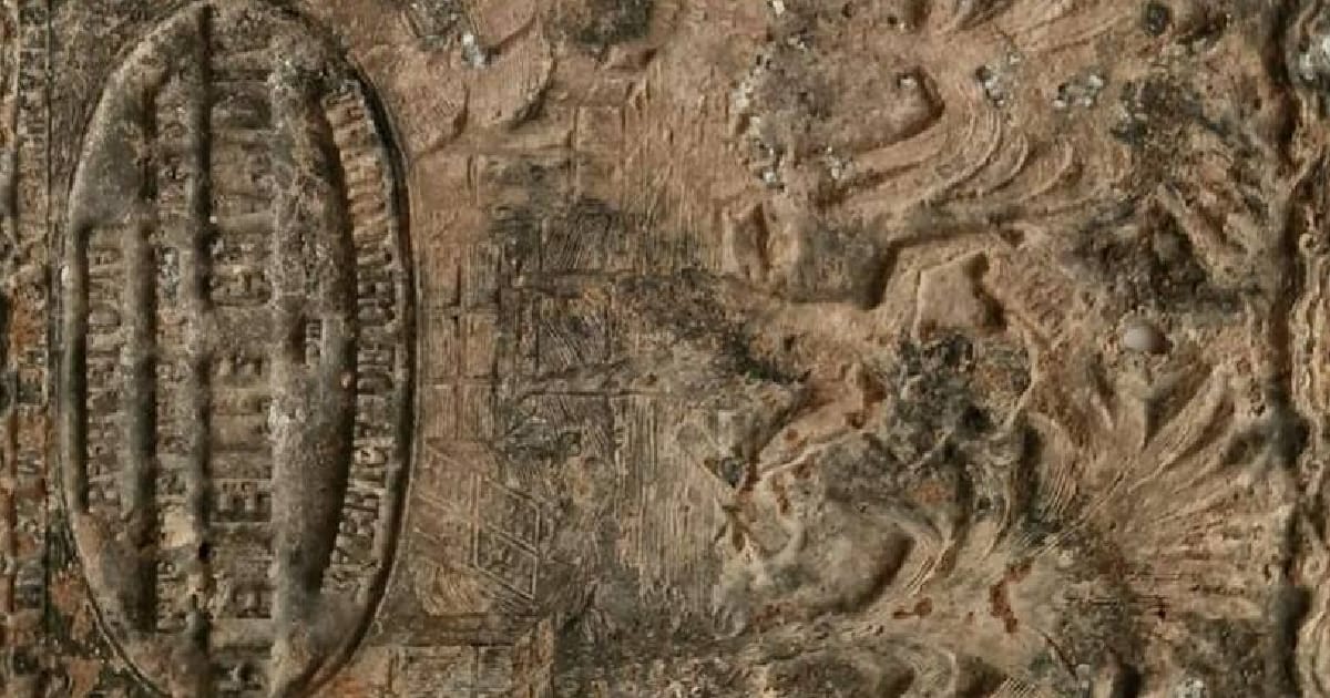 Руїни шоколадної фабрики XIX століття знайшли в Барселоні - Про історію та культуру на we.ua